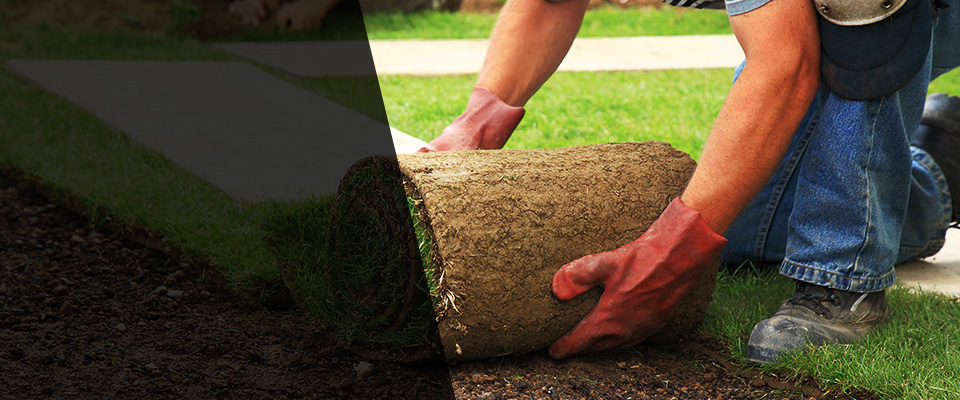 Homestead Landscapers